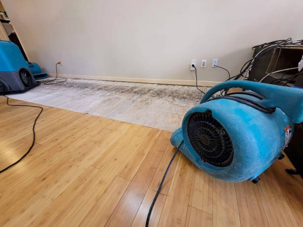 Professional Water Removal technician working in New Bloomfield, MO
